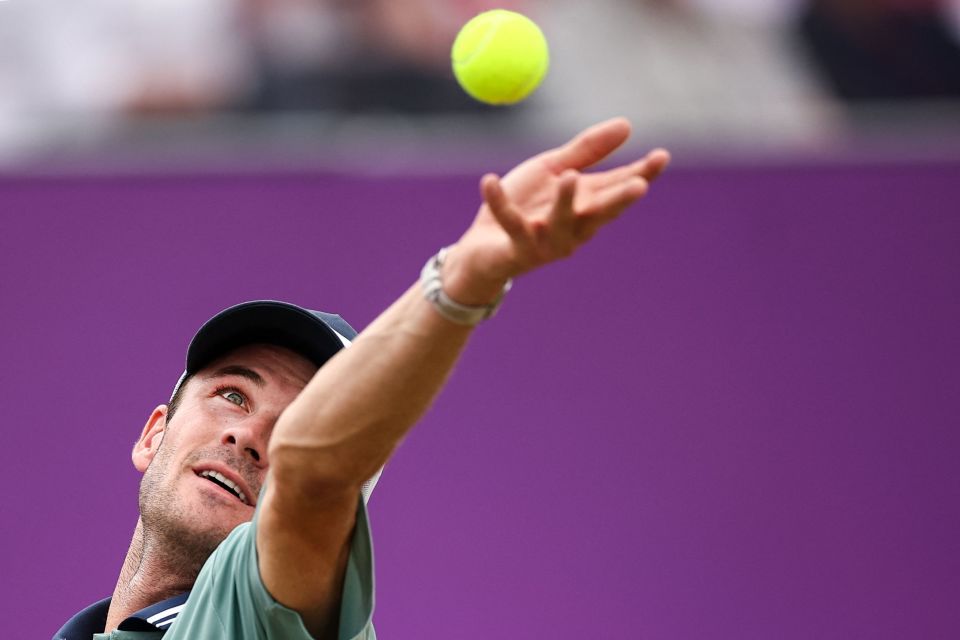 已成为一种 已成为一种